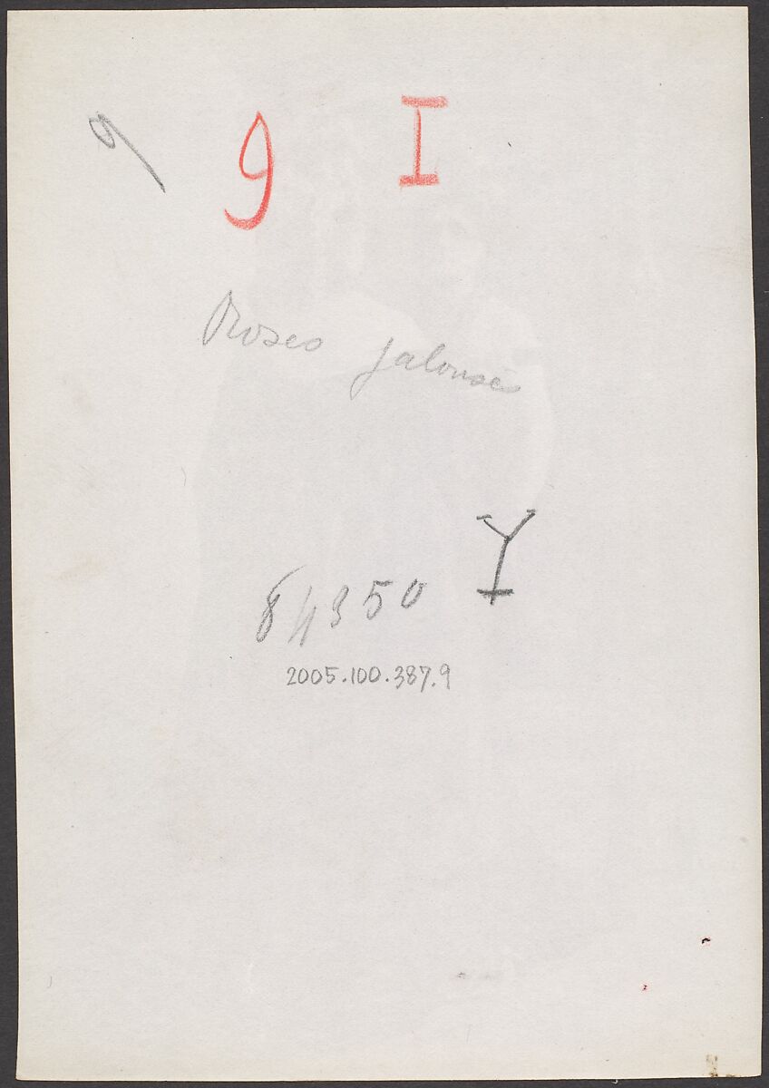 [Countess de Castiglione, from Série des Roses], Pierre-Louis Pierson (French, 1822–1913), Albumen silver print from glass negative