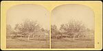 [Group of 36 Amateur Stereograph Views], Unknown, Albumen silver prints