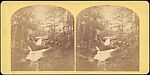 [Group of 36 Amateur Stereograph Views], Unknown, Albumen silver prints