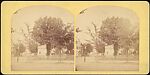 [Group of 36 Amateur Stereograph Views], Unknown, Albumen silver prints