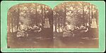 [Group of 36 Amateur Stereograph Views], Unknown, Albumen silver prints