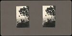 [Group of 36 Amateur Stereograph Views], Unknown, Albumen silver prints