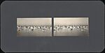[Group of 36 Amateur Stereograph Views], Unknown, Albumen silver prints