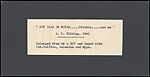 [Group of 36 Amateur Stereograph Views], Unknown, Albumen silver prints