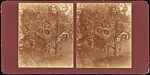 [Group of 36 Amateur Stereograph Views], Unknown, Albumen silver prints