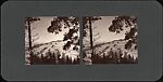 [Group of 36 Amateur Stereograph Views], Unknown, Albumen silver prints