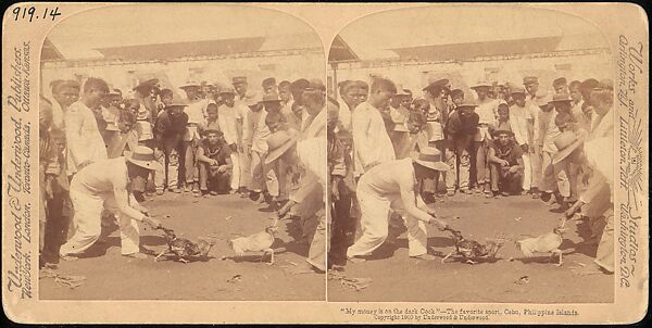 [Group of 107 Stereograph Views of Animals], Keystone View Company, Albumen silver prints