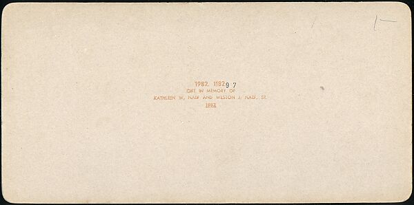 [Group of 107 Stereograph Views of Animals], Keystone View Company, Albumen silver prints