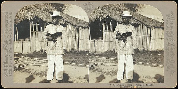 [Group of 107 Stereograph Views of Animals], Keystone View Company, Albumen silver prints