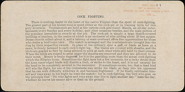 [Group of 107 Stereograph Views of Animals], Keystone View Company, Albumen silver prints