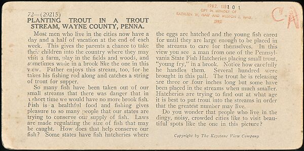 [Group of 107 Stereograph Views of Animals], Keystone View Company, Albumen silver prints