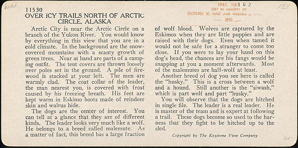 [Group of 107 Stereograph Views of Animals], Keystone View Company, Albumen silver prints