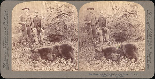 [Group of 107 Stereograph Views of Animals], Keystone View Company, Albumen silver prints