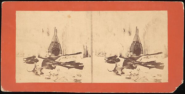 [Group of 107 Stereograph Views of Animals], Keystone View Company, Albumen silver prints
