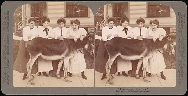 [Group of 107 Stereograph Views of Animals], Keystone View Company, Albumen silver prints