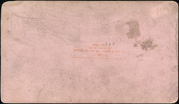 [Group of 107 Stereograph Views of Animals], Keystone View Company, Albumen silver prints