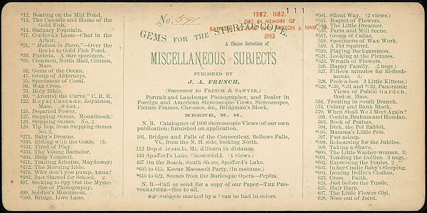 [Group of 107 Stereograph Views of Animals], Keystone View Company, Albumen silver prints