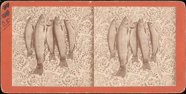 [Group of 107 Stereograph Views of Animals], Keystone View Company, Albumen silver prints