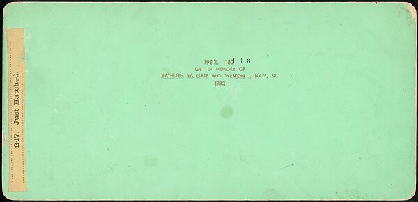 [Group of 107 Stereograph Views of Animals], Keystone View Company, Albumen silver prints