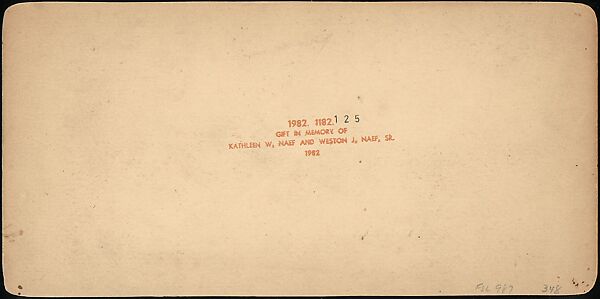 [Group of 107 Stereograph Views of Animals], Keystone View Company, Albumen silver prints