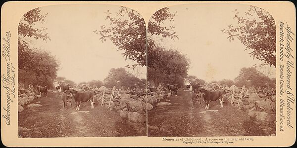 [Group of 107 Stereograph Views of Animals], Keystone View Company, Albumen silver prints