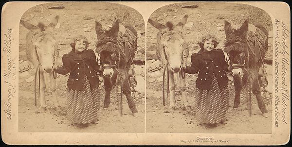 [Group of 107 Stereograph Views of Animals], Keystone View Company, Albumen silver prints