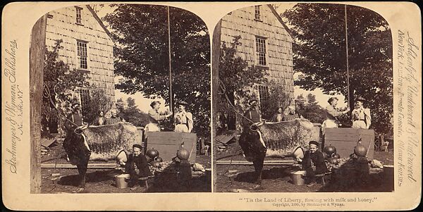 [Group of 107 Stereograph Views of Animals], Keystone View Company, Albumen silver prints