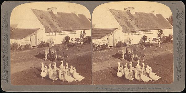 [Group of 107 Stereograph Views of Animals], Keystone View Company, Albumen silver prints