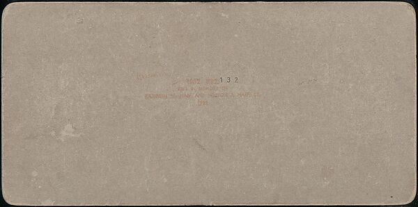 [Group of 107 Stereograph Views of Animals], Keystone View Company, Albumen silver prints