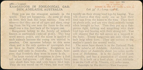 [Group of 107 Stereograph Views of Animals], Keystone View Company, Albumen silver prints