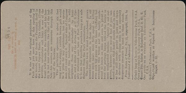 [Group of 107 Stereograph Views of Animals], Keystone View Company, Albumen silver prints