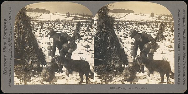 [Group of 107 Stereograph Views of Animals], Keystone View Company, Albumen silver prints