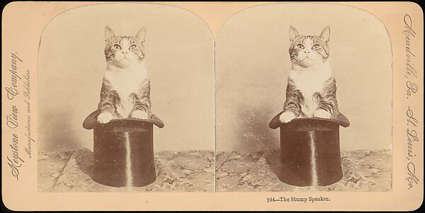 [Group of 107 Stereograph Views of Animals], Keystone View Company, Albumen silver prints