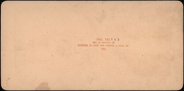 [Group of 107 Stereograph Views of Animals], Keystone View Company, Albumen silver prints