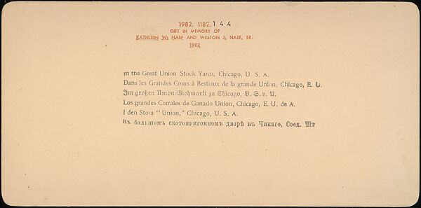 [Group of 107 Stereograph Views of Animals], Keystone View Company, Albumen silver prints