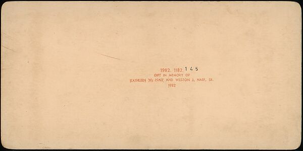 [Group of 107 Stereograph Views of Animals], Keystone View Company, Albumen silver prints