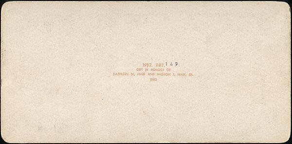 [Group of 107 Stereograph Views of Animals], Keystone View Company, Albumen silver prints