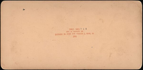 [Group of 107 Stereograph Views of Animals], Keystone View Company, Albumen silver prints