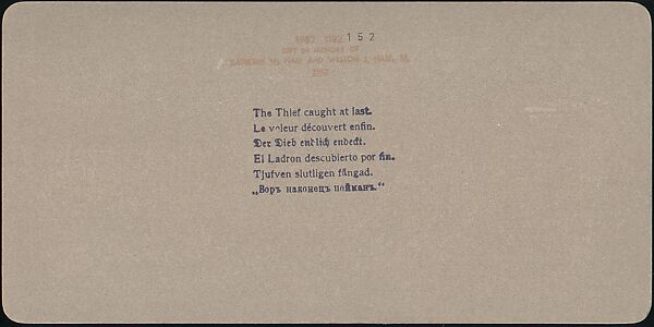 [Group of 107 Stereograph Views of Animals], Keystone View Company, Albumen silver prints