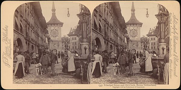 [Group of 107 Stereograph Views of Animals], Keystone View Company, Albumen silver prints