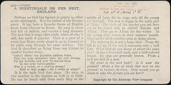 [Group of 107 Stereograph Views of Animals], Keystone View Company, Albumen silver prints