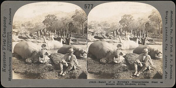 [Group of 107 Stereograph Views of Animals], Keystone View Company, Albumen silver prints
