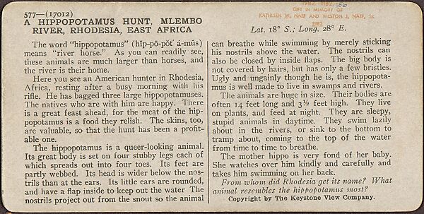 [Group of 107 Stereograph Views of Animals], Keystone View Company, Albumen silver prints