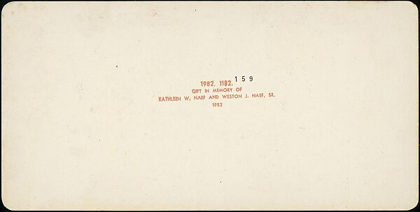 [Group of 107 Stereograph Views of Animals], Keystone View Company, Albumen silver prints