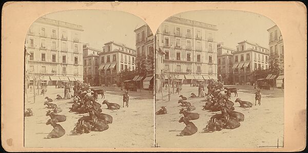 [Group of 107 Stereograph Views of Animals], Keystone View Company, Albumen silver prints