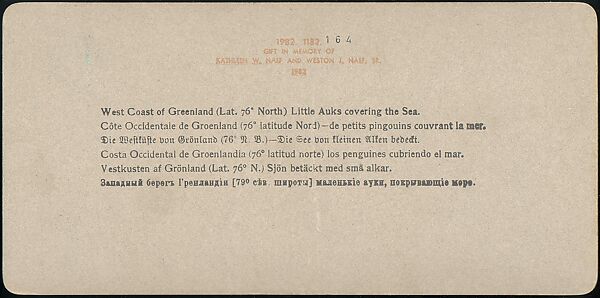 [Group of 107 Stereograph Views of Animals], Keystone View Company, Albumen silver prints