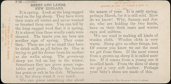 [Group of 107 Stereograph Views of Animals], Keystone View Company, Albumen silver prints