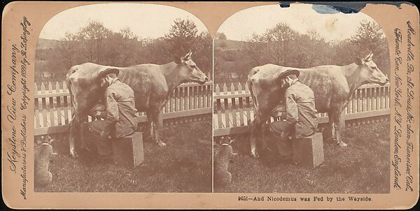 [Group of 107 Stereograph Views of Animals], Keystone View Company, Albumen silver prints
