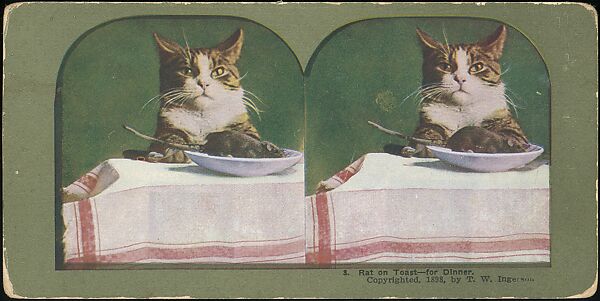 [Group of 107 Stereograph Views of Animals], Keystone View Company, Albumen silver prints