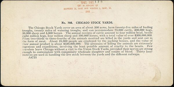 [Group of 107 Stereograph Views of Animals], Keystone View Company, Albumen silver prints